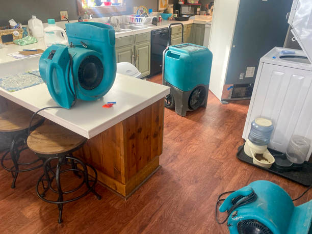 Best Carpet water damage restoration  in Lealman, FL