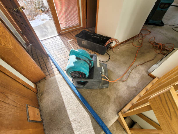Best Commercial water damage restoration  in Lealman, FL