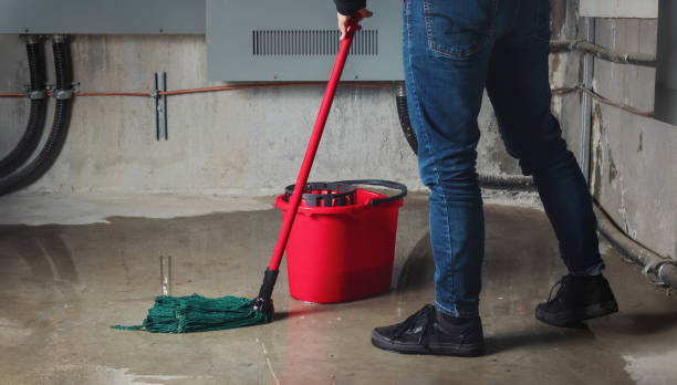 Best Water damage restoration near me  in Lealman, FL
