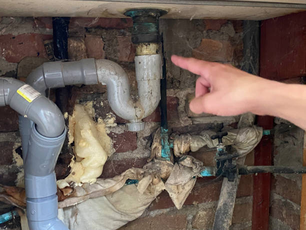 Best Water damage cleanup near me  in Lealman, FL