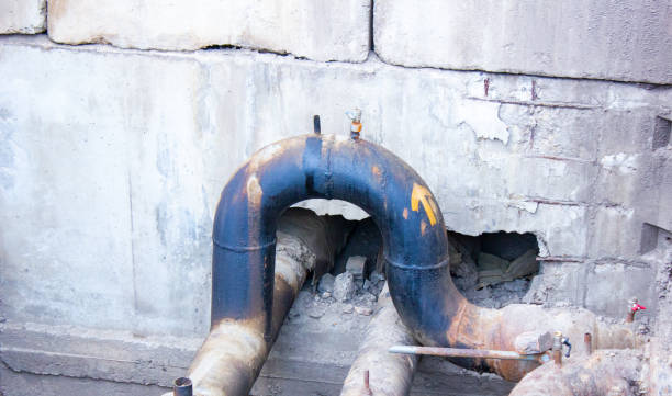 Best 24-hour water damage restoration  in Lealman, FL